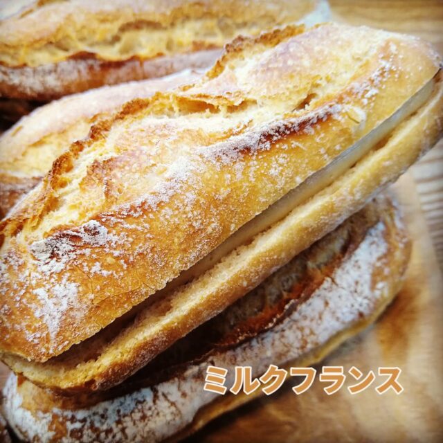 【ミルクフランス復活🐦‍🔥】
こんにちは！
強風ヤバかったです🍃😱
さらに気温が下がって寒さが厳しくなりますね💦

お待たせしました！
やっと復活しました！
『ミルクフランス🥖』
オリジナルのミルククリームをミニバゲットにサンドしたブントの名物
オープンから根強い人気の商品です✨
空気が乾燥しているのでバゲットがいつまで経っても焼きたてのようなバリっと食感です
濃厚なクリームとの組み合わせをお楽しみください☺️

#ブントベーカリー#ミルクフランス#千葉市パン屋#千葉中央パン屋#季節限定#ミルククリーム#素焚糖#バゲット#パンスタグラム#パン好きな人と繋がりたい #冬限定#冬限定パン
